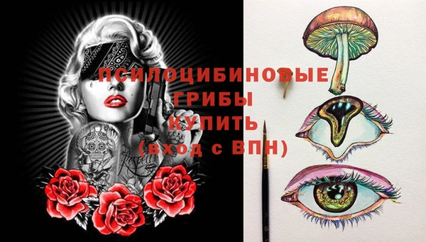 спиды Алексеевка