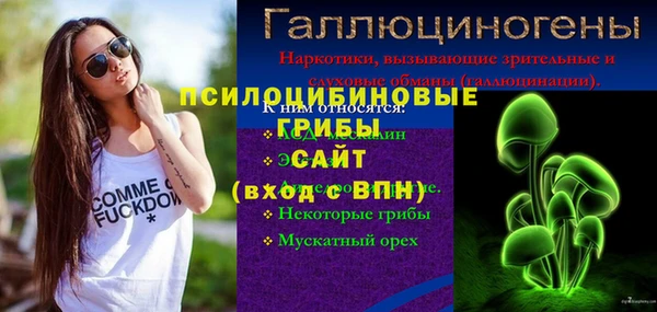 спиды Алексеевка