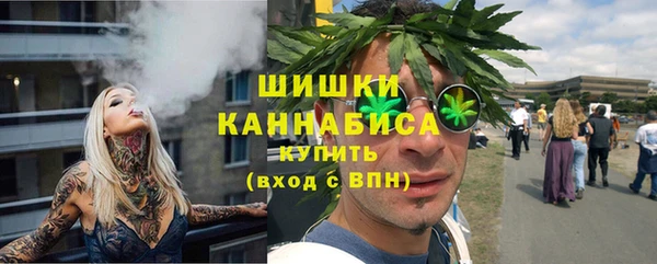 сатива Абдулино